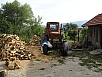 P1010106.jpg