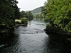 P1010113.jpg