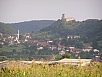 P1010128.jpg