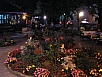 P1010136.jpg