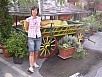 P1010142.jpg