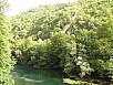 P1010154.jpg