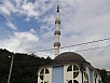 P1010172.jpg