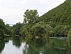 P1010176.jpg