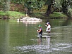 P1010197.jpg