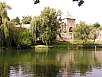 P1010198.jpg