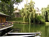 P1010199.jpg