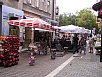 z12.jpg