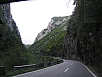 z42.jpg