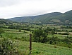 z56.jpg