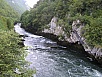 z61.jpg