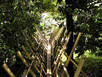 Traditional Bridge