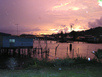 Before Sunset