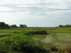 Ostjava