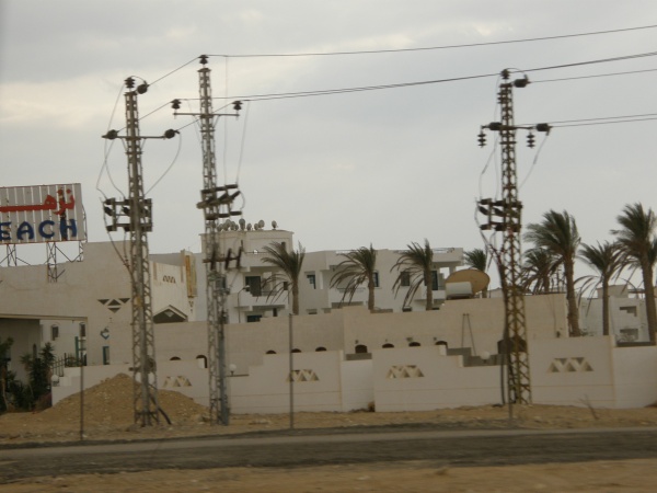 PA280075.jpg