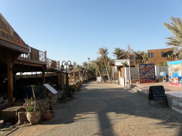 PA290108.jpg