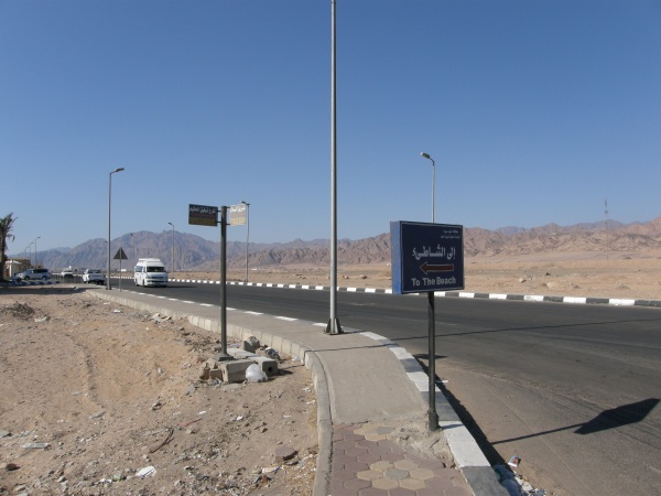PA290115.jpg
