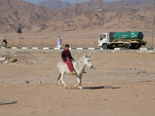 PA290117.jpg