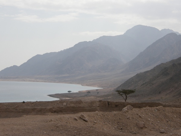 PA290146.jpg