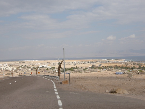 PA290150.jpg