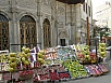 PA280030.jpg
