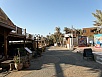 PA290108.jpg