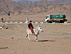 PA290117.jpg