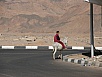 PA290118.jpg
