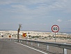 PA290152.jpg