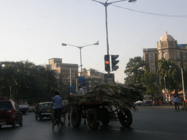 PB030725.jpg