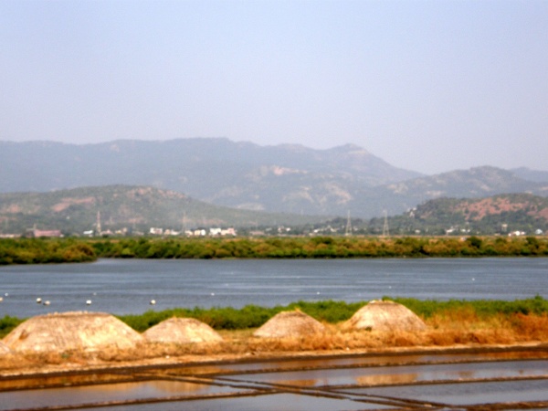 PB040907.jpg