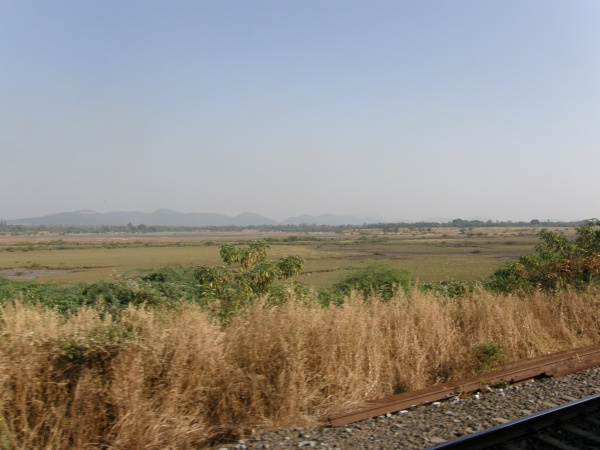PB040911.jpg