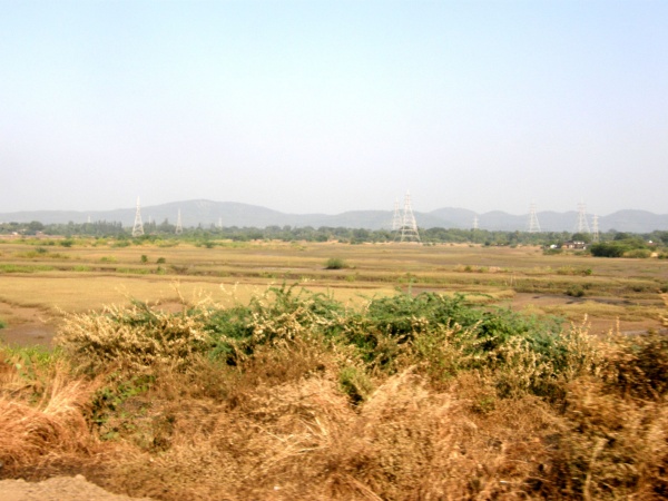 PB040913.jpg
