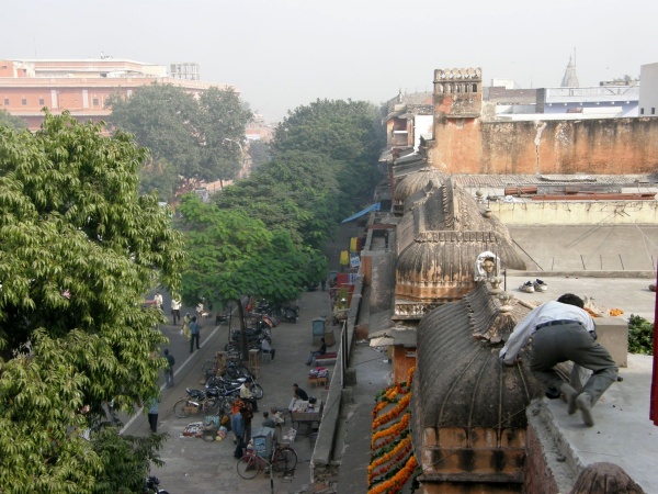 PB101547.jpg