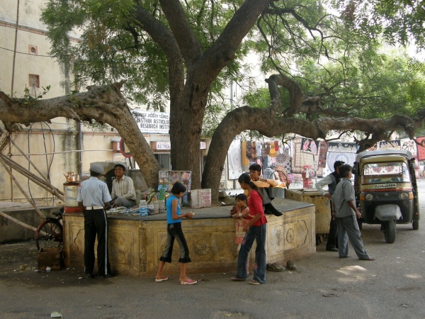 PB101579.jpg
