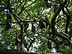 PB030771.jpg