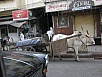 PB040836.jpg