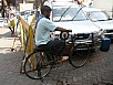 PB040878.jpg