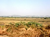 PB040913.jpg