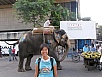 PB050942.jpg