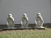 PB050961.jpg