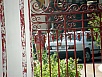PB061108.jpg
