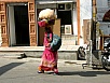 PB061115.jpg
