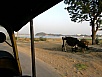PB061159.jpg