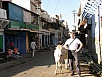 PB081330.jpg