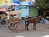 PB081333.jpg