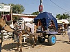 PB091464.jpg