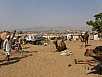 PB091472.jpg