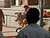 PB091507.jpg