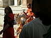 PB091509.jpg